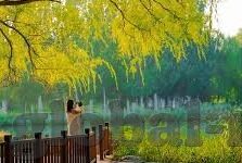 白晶晶果冻传媒资料-探索白晶晶果冻传媒的独特魅力与行业影响