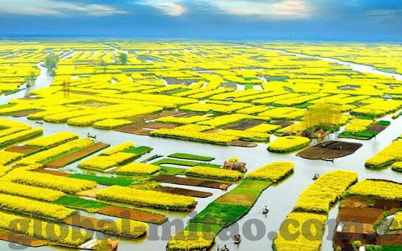 麻豆日记app在线观看-「麻豆日记」，揭开移动互联网时代的生活新视界