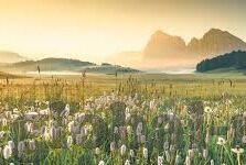 妈妈的朋友中文字幕-母爱之桥，妈妈的朋友——一段温馨的陪伴故事