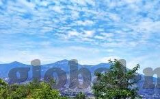 日韩东京热av-探索日韩文化中的东京热AV现象，一种独特的艺术表达与文化交流