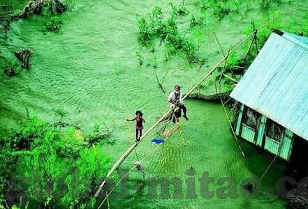 日韩精品一区二区亚洲av观看-日韩精品一区二区，亚洲AV观看的多元视角与文化探索