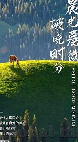 少妇高潮一区二区三区99-探索女性性福的多元维度，少妇的性高潮体验