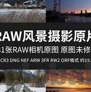糖心APP下载官网入口-探秘手机应用新宠，糖心APP下载使用全攻略