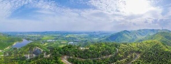 糖心直播app免登录-甜蜜诱惑的背后——糖心直播应用的真实面孔